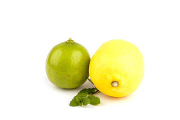 Citrus on white background