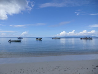 Fototapeta na wymiar Seychellen - Praslin - Grand Anse 