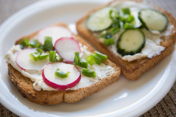 Fresh vegetarian sandwiches with cheese, radish, cucumber and green onions