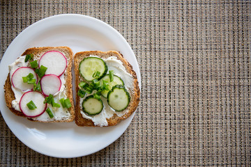 Fresh vegetarian sandwiches with cheese, radish, cucumber and green onions