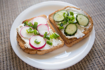 Fresh vegetarian sandwiches with cheese, radish, cucumber and green onions