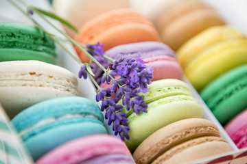French macaroon cookies with lavender