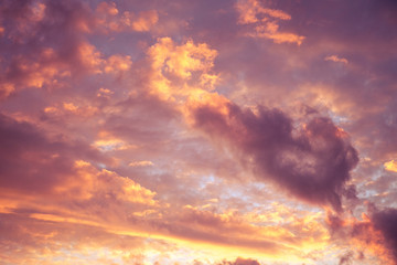 Naklejka na ściany i meble Rose-golden sunset sky with clouds