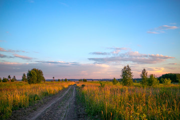 Country road in summer in sunset rays
