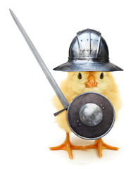 Crazy yellow chick medieval knight with helmet shield and sword funny baby animal poster