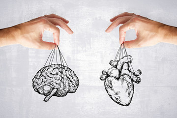 logic and feel concept with heart and brain