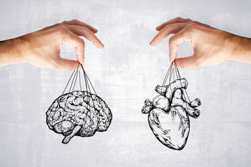 logic and feel concept with heart and brain © Who is Danny
