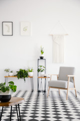 Plant on table in simple living room interior with checkered floor and armchair. Real photo