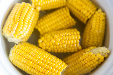Sweet tasty organic boiled corn in pot. Natural bio ripe sweetcorn cereal. Healthy source of calcium, potassium, magnesium and iron. Yellow food background