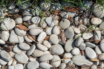  flat pebbles