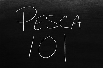 The words Pesca 101 on a blackboard in chalk.  Translation: Fishing 101