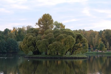 Fototapeta premium island on the lake