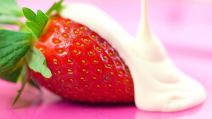 Macro closeup of fresh strawberry fruit with cream on pink background.