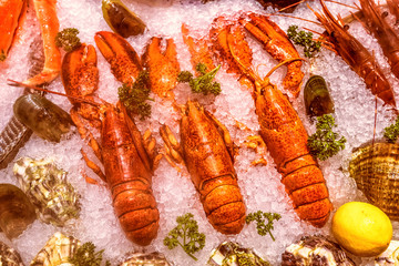 Many kind of seafood, served on crushed ice