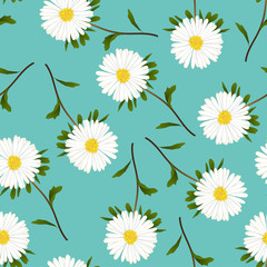 White Aster, Daisy on Green Teal Background