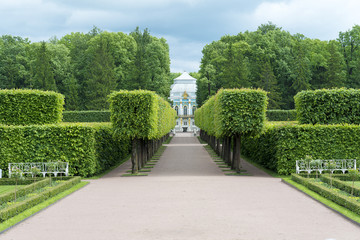 Tsarskoye Selo Pushkin, St. Petersburg, alley in the Park, trees and shrubs, walking paths.