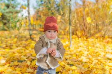Little beautiful girl in warm clothes stand among autumn foliage in forest.