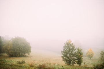 Fototapeta na wymiar Misty Landscape. Morning Fog Over Misty Meadow. Autumn Nature Of Eastern Europe
