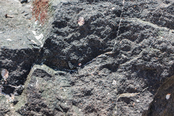 The surface of an old rock with cracks. Old rock texture (wild background).
