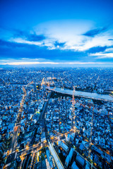 Azië Bedrijfsconcept voor onroerend goed en bedrijfsbouw - panoramische luchtfoto van de stadshorizon onder schemerhemel en neonnacht in Tokyo, Japan
