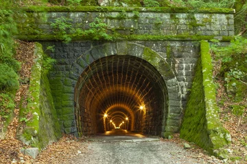 Cercles muraux Tunnel 伊豆市側から見た旧天城トンネル、静岡県伊豆市にて
