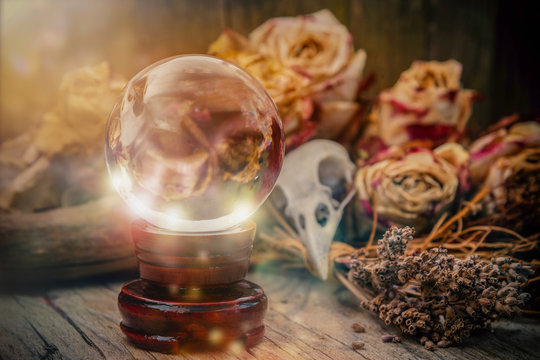 Crystal orb in front of dryed roses and a ravenskull-magic scene