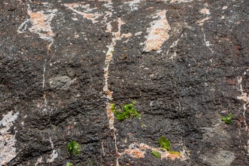 The surface of an old rock with cracks. Old rock texture (wild background).