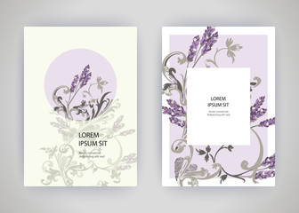 Set of card with flower lavender, leaves. Wedding ornament concept. Floral trendy poster, invite. Vector decorative greeting card or invitation design background