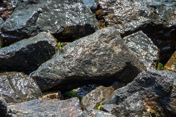 The surface of an old rock with cracks. Old rock texture (wild background).