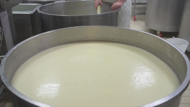 4K genuine mozzarella production process