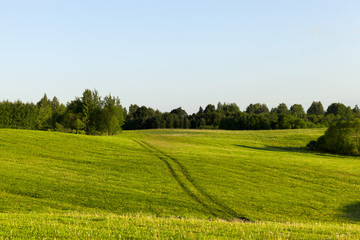 summer landscape