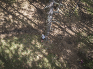 high top view of young man hugging and loving pine tree in the forest