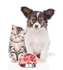 Cat and dog with food for pets. isolated on white background