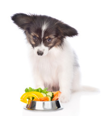 Papillon puppy with a bowl of vegetables. isolated on white background