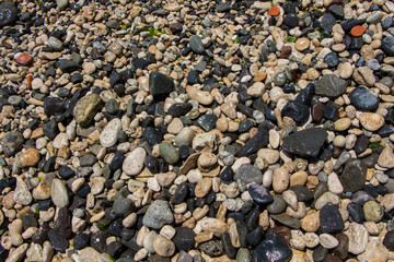 The surface of the pebble on the beach. Little rock texture.