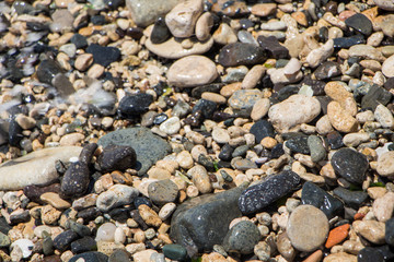 The surface of the pebble on the beach. Little rock texture.
