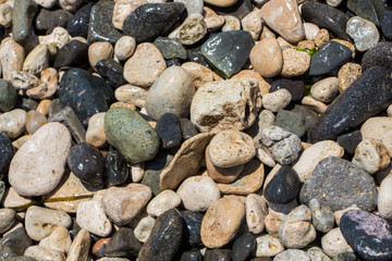 The surface of the pebble on the beach. Little rock texture.