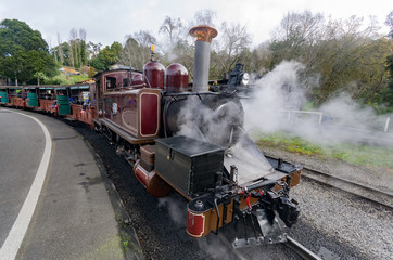 Brown Steam Train