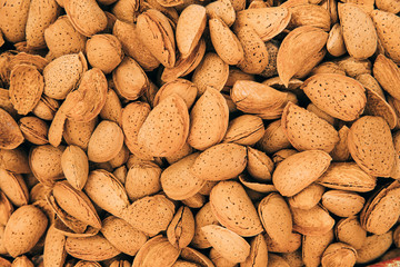 Unpeeled Almond Nuts Background. Natural Fresh Brown Nuts In Nutshells.