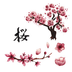 Watercolor sakura set © lenavetka87