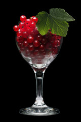 Red currant berries in wine glass on black