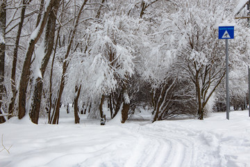 Ski trail tracks in the snow
