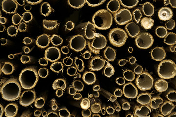 background - ends of cut dry hollow stems of plants (fragment of homemade nest block for mason bees)..