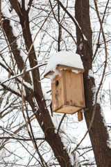 Bird feeder in winter forest after snowfall