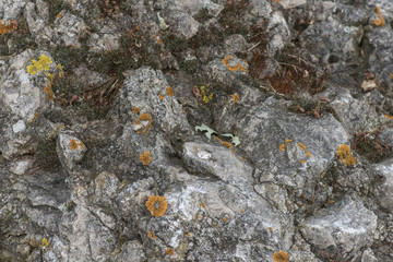 texture of various stones close-up of different colors and shades of background