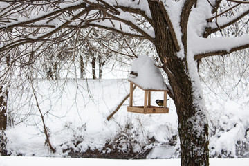 Bird feeder in winter forest after snowfall