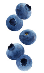 blueberries isolated on a white background