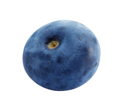 blueberry isolated on a white background