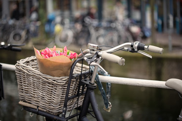 basket with tulips on a bike