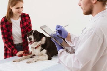 Veterinarian filling in patients info on tablet with stylus. Handsome male vet doctor doing patient check up via digital tablet that he is holding in his hands.